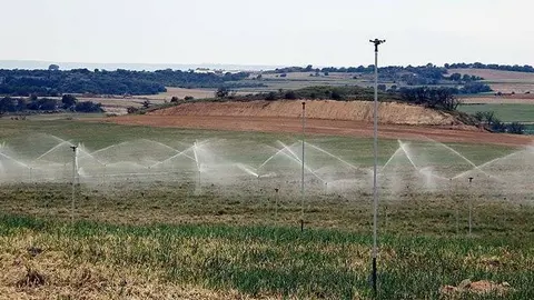 Imatge d'aspersors en marxa en una finca de regadiu de l'Algerri-Balaguer