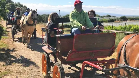 Ruta de Patrimoni Alcarràs en Fruit edició del 2017