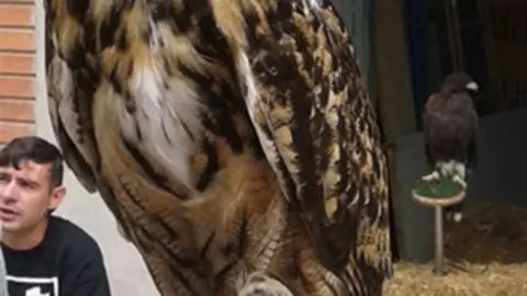 Mostra d'Oficis i Artesania (9)