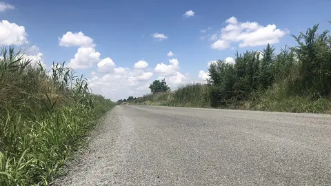 Adequació de la carretera Bellvís Termens