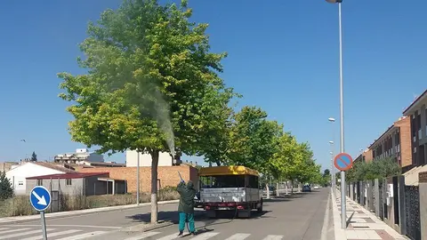 Demostració del tractament que s'està aplicant a les zones verdes de Mollerussa 1