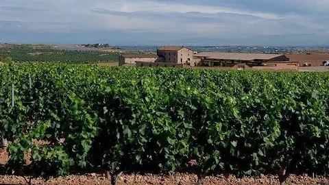 El celler Purgatori de Torres a les Garrigues @Territoriscat
