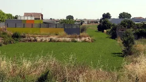 Terrenys en els que es preveu construir el nou Institut a Mollerussa