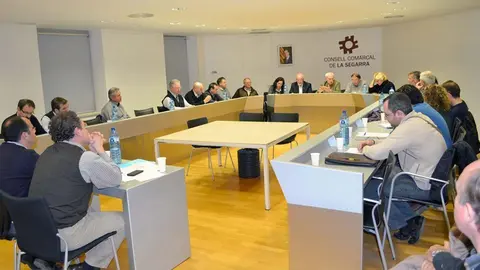Imatge d'arxiu del Ple del Consell Comarcal de la Segarra