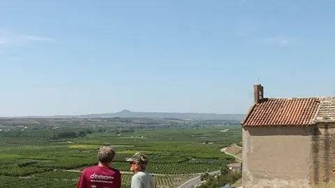 Imatge dels camps de conreu des d'Aitona ©Territoris.cat