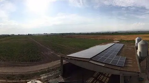 Reg localitzat al panís- Cooperativa Ivars - Fotografia Katae