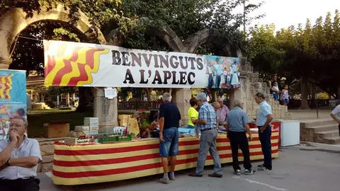 Taula d'informació del XXV Aplec de la Sardana