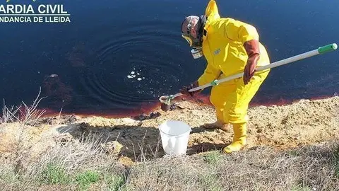 Agent del Seprona prenen mostres de la bassa