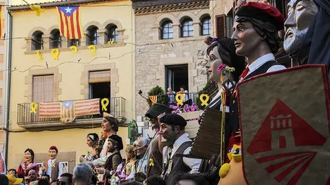Trobada de Gegants (41)