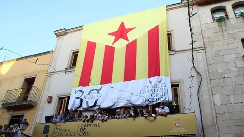 Trobada de Gegants (43)