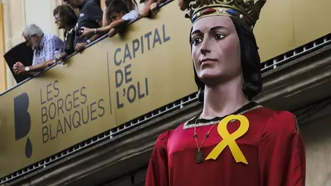 Trobada de Gegants (44)