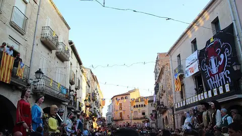 Trobada de Gegants (45)