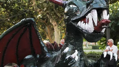 Trobada de Gegants (48)