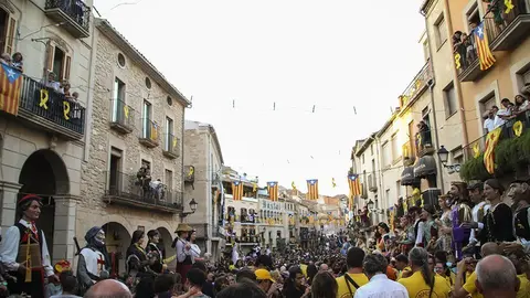 Trobada de Gegants (49)