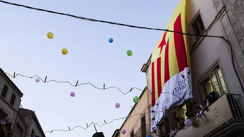 Trobada de Gegants (50)