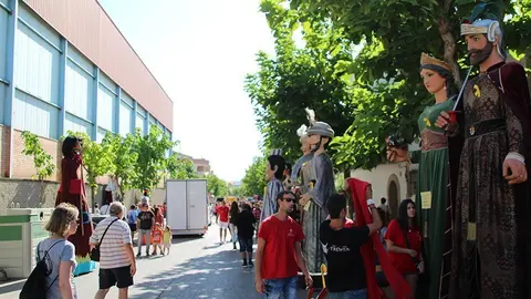 Trobada de Gegants (1)