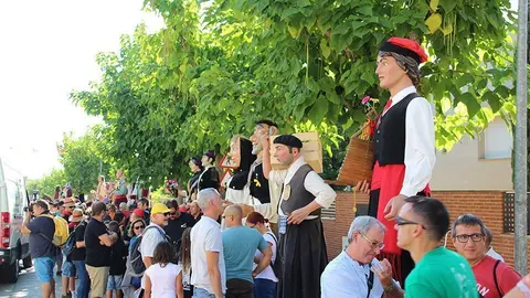 Trobada de Gegants (5)
