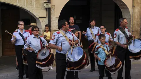 Trobada de Gegants (8)