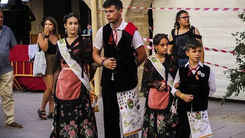 Trobada de Gegants (9)