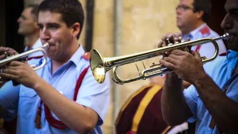 Trobada de Gegants (11)