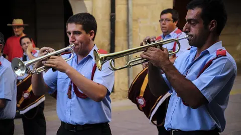 Trobada de Gegants (12)