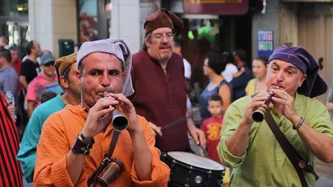 Trobada de Gegants (16)