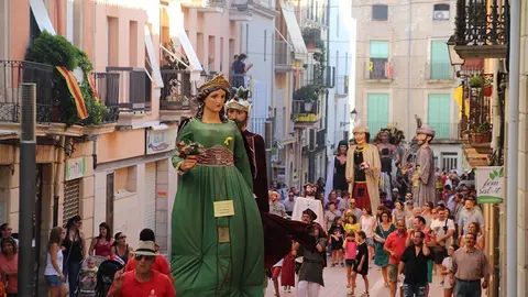 Trobada de Gegants (18)