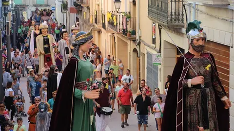 Trobada de Gegants (19)
