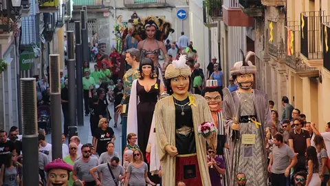 Trobada de Gegants (20)