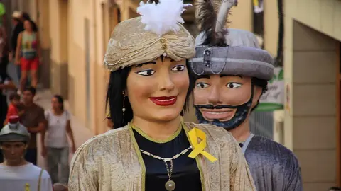 Trobada de Gegants (21)