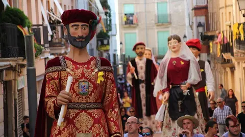 Trobada de Gegants (23)