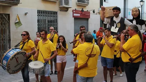 Trobada de Gegants (27)