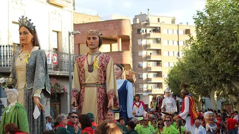 Trobada de Gegants (30)