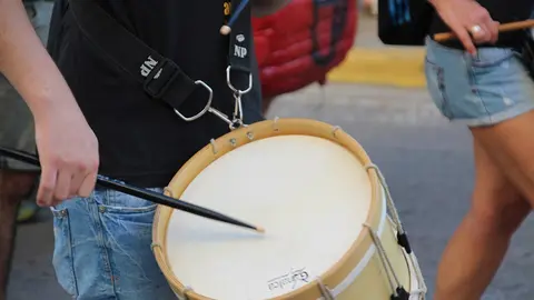 Trobada de Gegants (33)