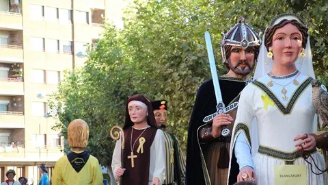 Trobada de Gegants (34)