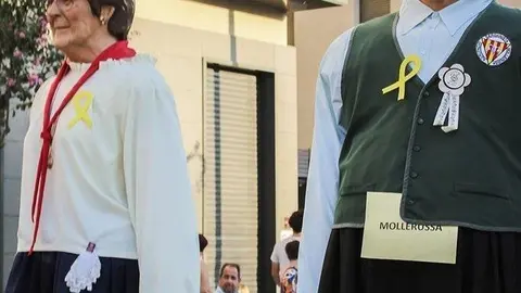 Trobada de Gegants (39)