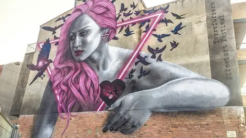 2n premi_Sfhir_TSAF2017_sm