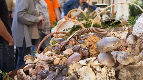 Diferents varietats de bolets en les parades del mercat