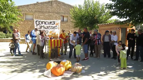 Concurs de Carabasses Gegants i Mostra de la Terra de Sedó