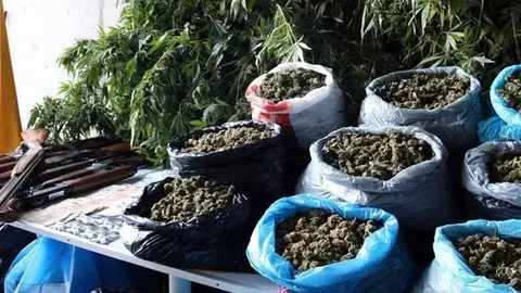 La marihuana, diners i escopetes, comissats pels Mossos d'Esquadra a Alfarràs