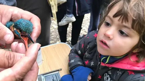 diada mediambiental la Granja dEscarp portada