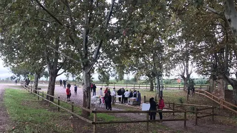 Activitats al Salt del Duran