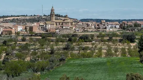 Imatge de les oliveres i el municipi de la Granadella