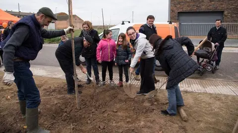 VII Festa del Medi Ambient. Plantada d'Arbres-Arces
