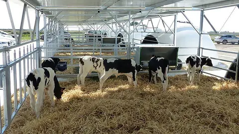 Granja experimental de la Cooperativa d'Ivars d'Urgell