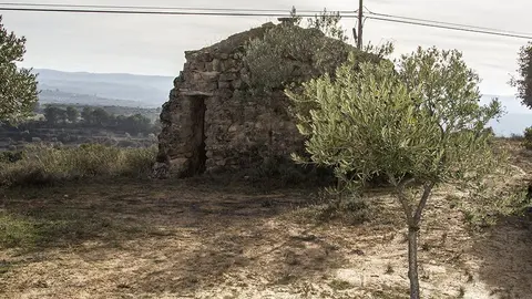 Cabana de pedra seca a les Garrigues