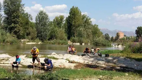 Recerca d'or al Segre al terme de Balaguer