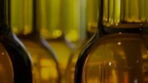 Clúster de l'Oli de Catalunya