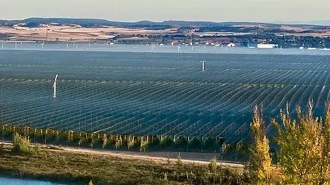 Finca de pomes de la companyia Nufri a Burgo de Osma a Sòria