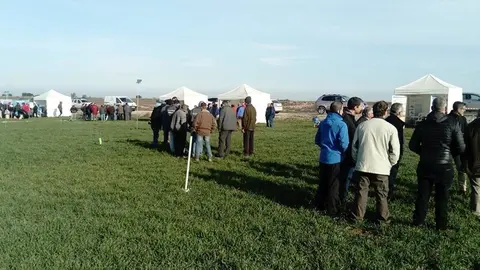 Jornada demostrativa sobre reg  a Preixana 2
